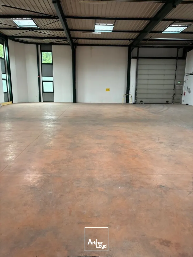 Locaux d'activité & Entrepôts - Location - VILLEPINTE - 93420 - 369-1103 - 7756954