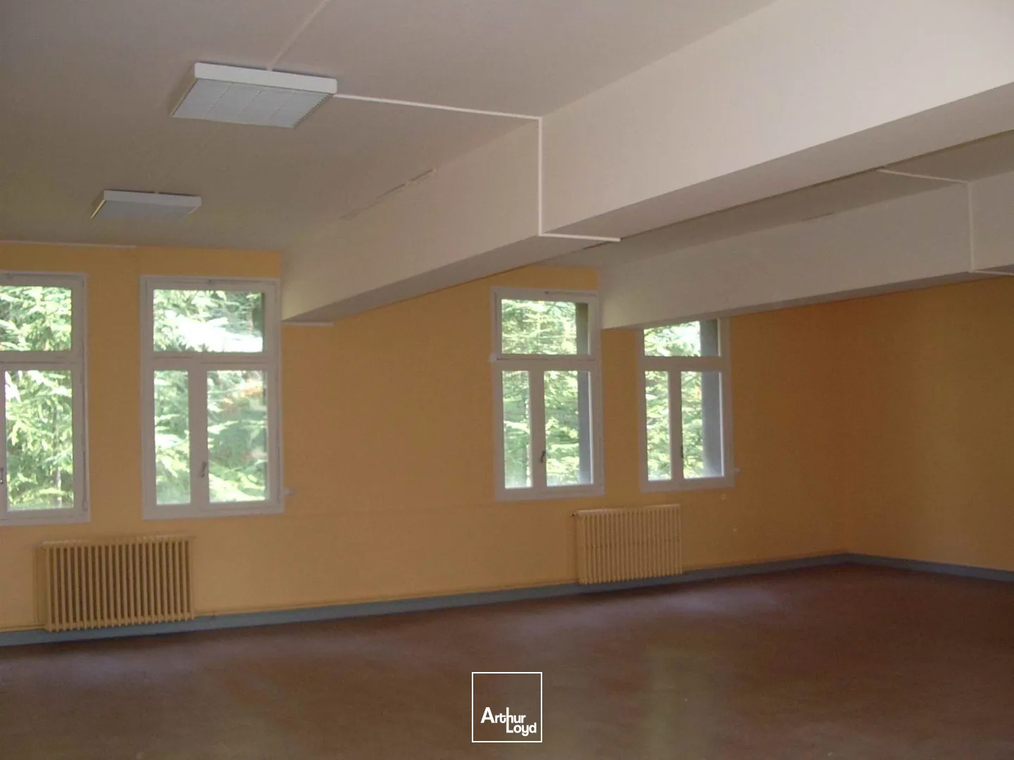 Bureaux - Location - SAINT ETIENNE - 42000 - 250-1460 - 7757102