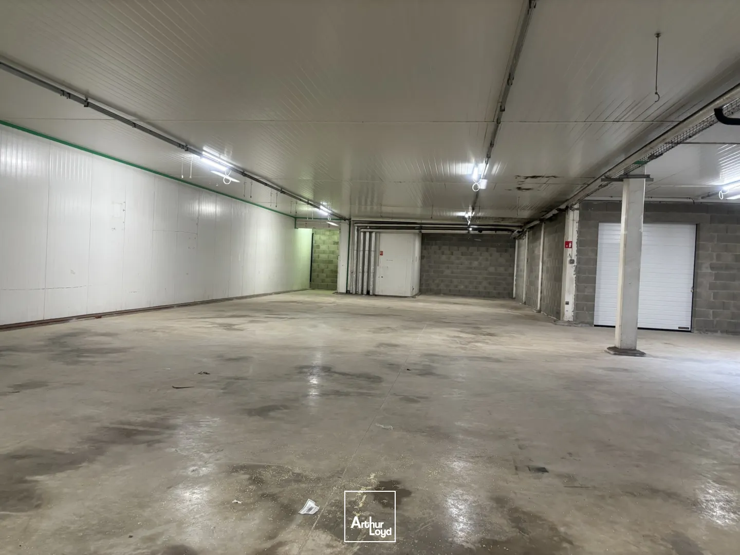 Locaux d'activité & Entrepôts - Location - Saint Priest en Jarez - 42270 - 28-646 - 7757173