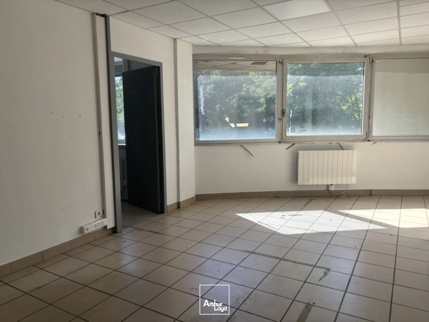 Locaux d'activité & Entrepôts - Vente - ANDREZIEUX BOUTHEON - 42160 - 263-3254 - 7757194