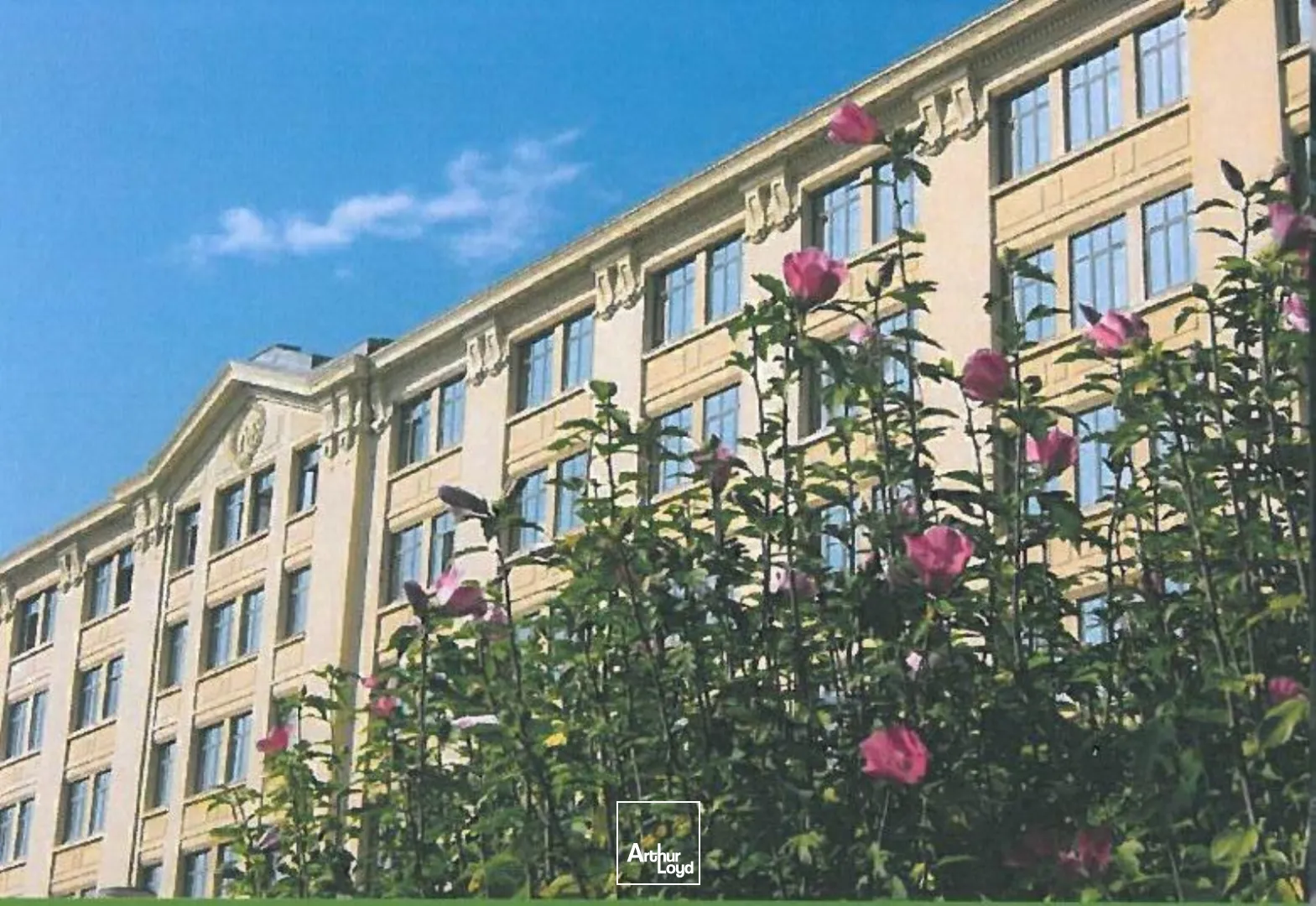 Bureaux - Location - SAINT ETIENNE - 42000 - 244-244 - 7757236
