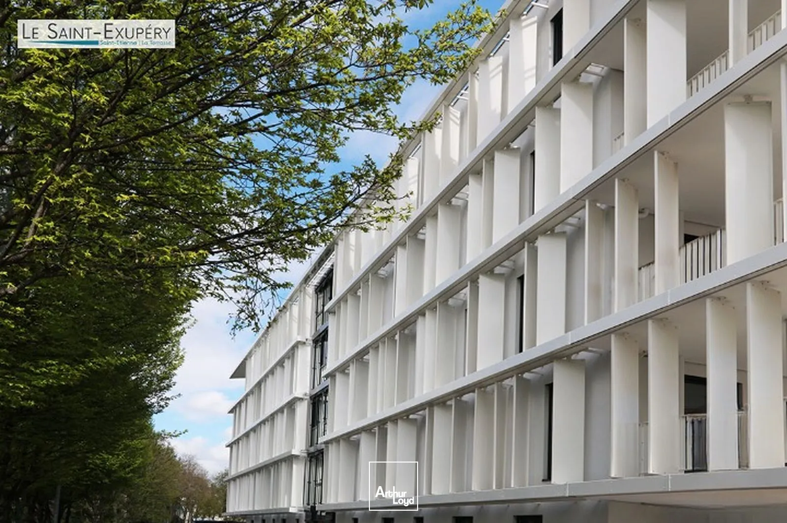 Bureaux - Location - SAINT ETIENNE - 42000 - 132-444 - 7757309