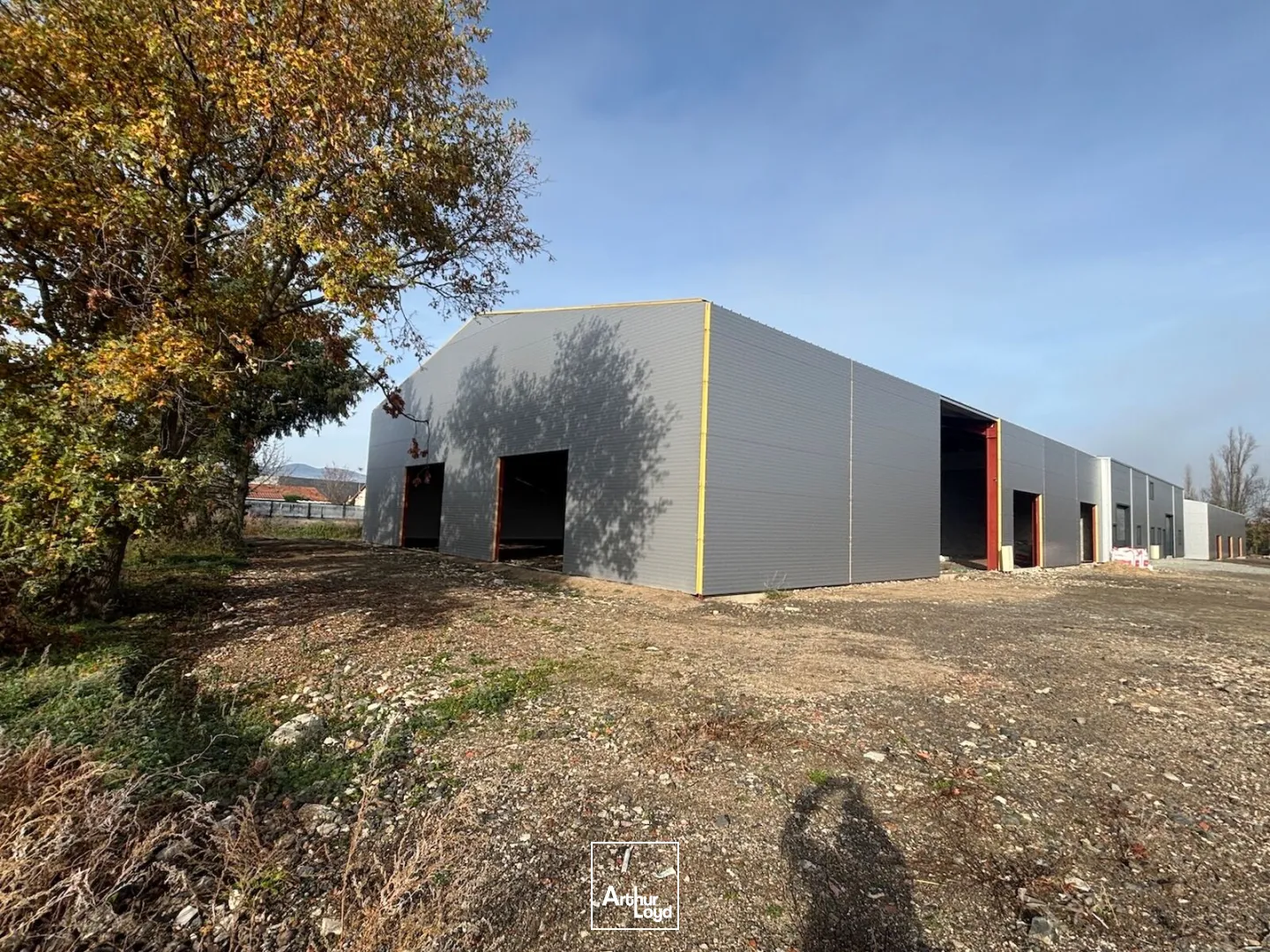 Locaux d'activité & Entrepôts - Vente - SAVIGNEUX - 42600 - 792-792 - 7757451