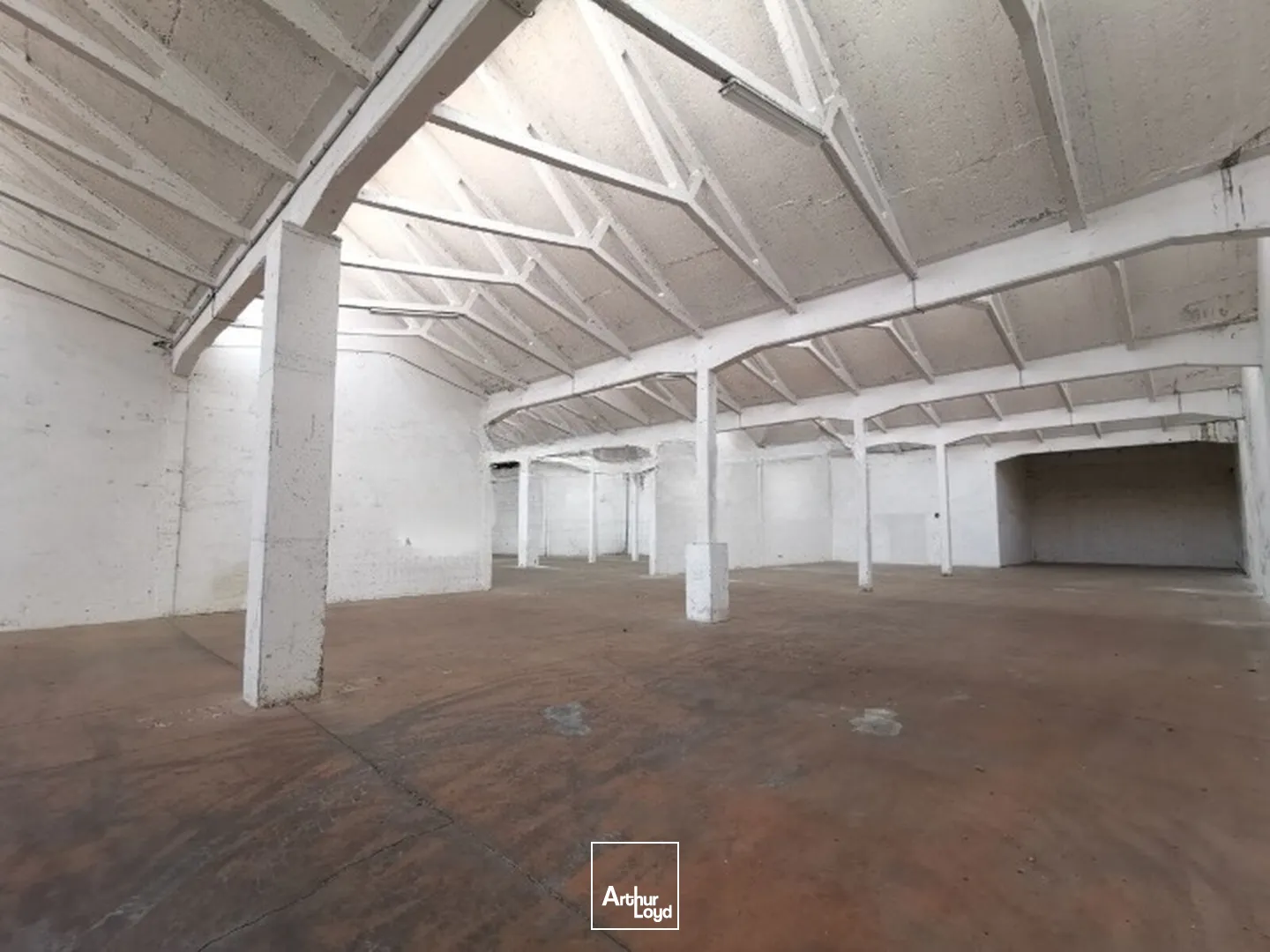 Locaux d'activité & Entrepôts - Location - LE COTEAU - 42120 - 2450-2450 - 7757509