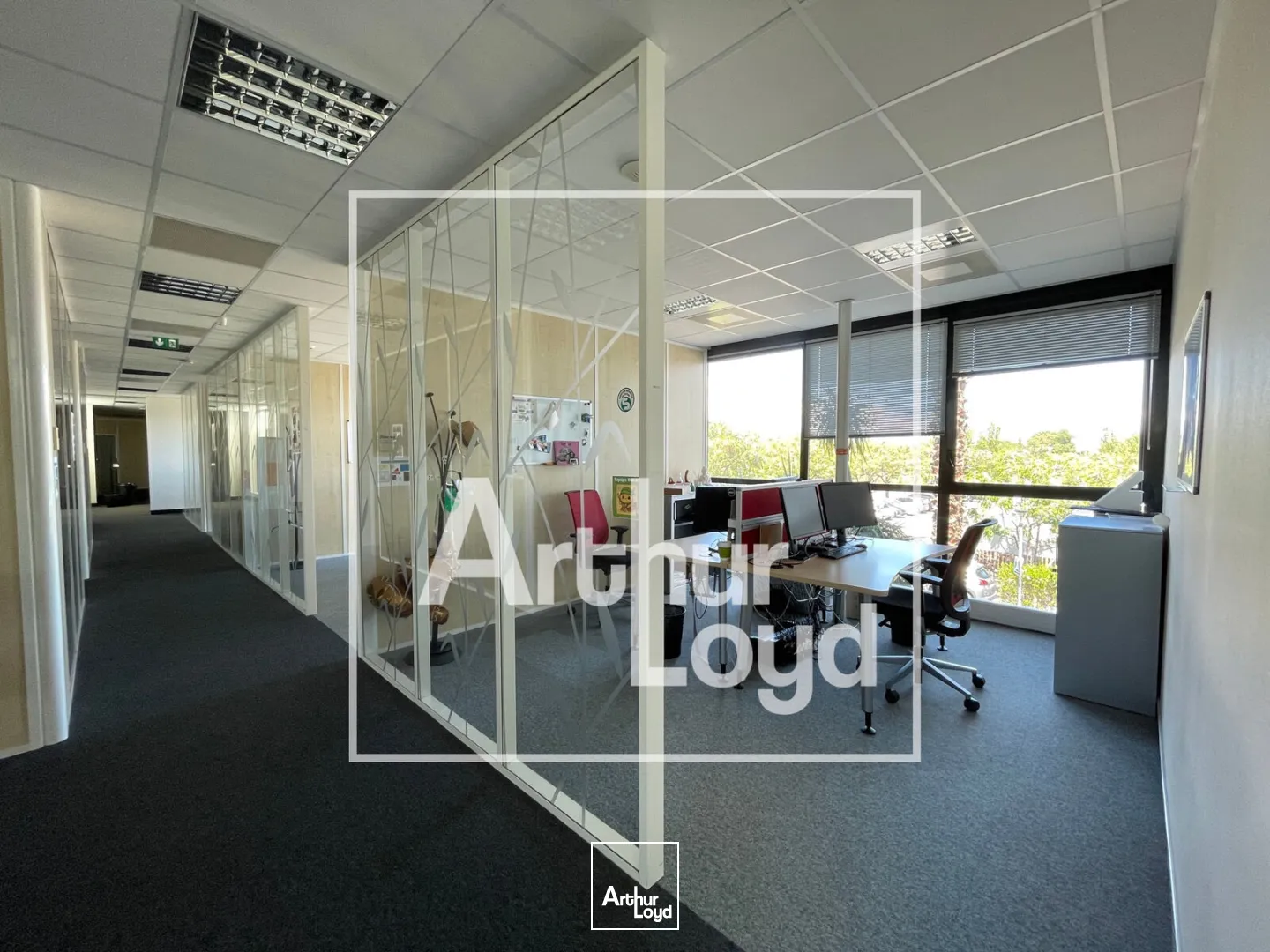 Bureaux - Location - PEROLS - 34470 - 257.79-2210.72 - 7758226
