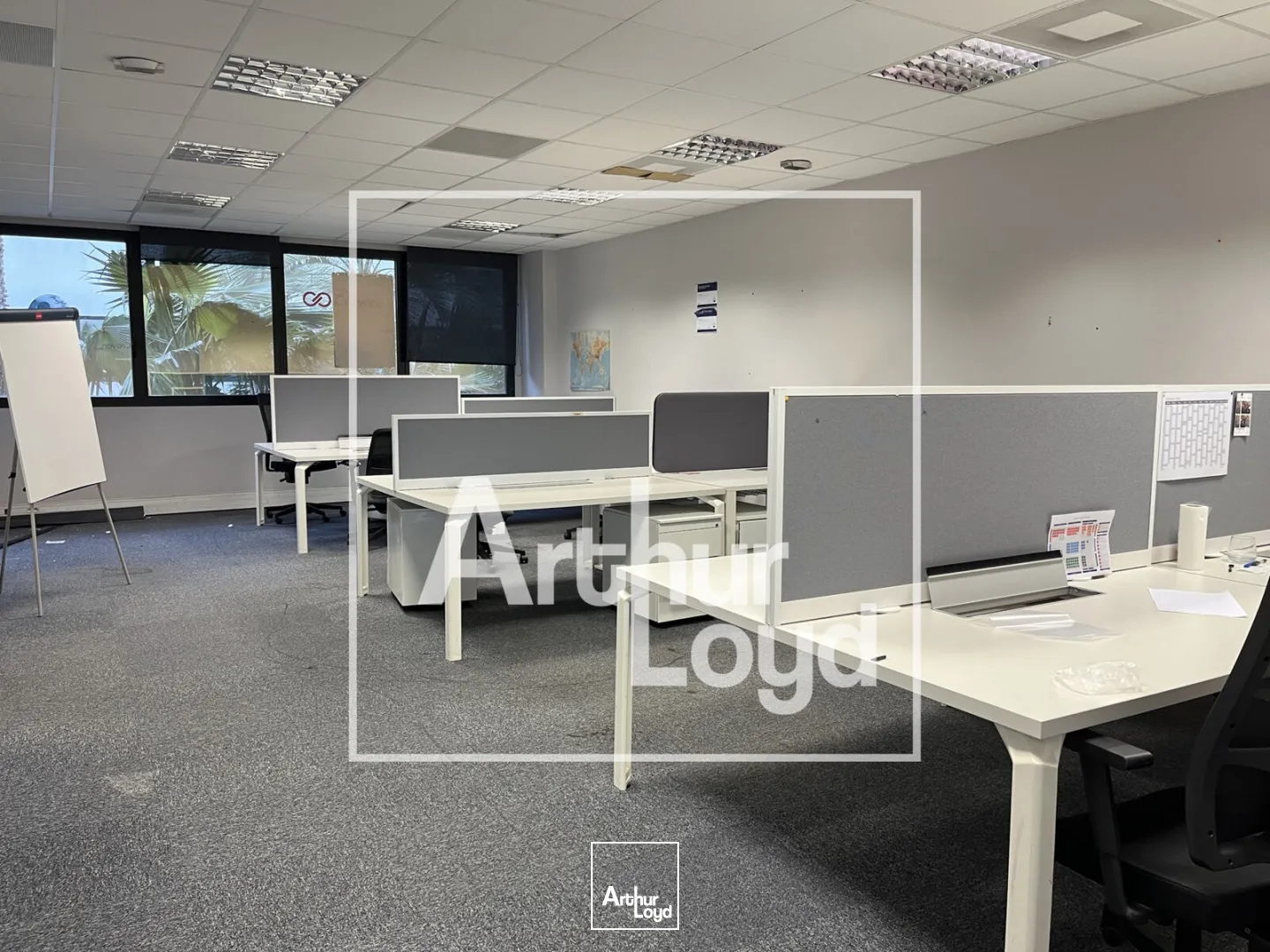 Bureaux - Location - PEROLS - 34470 - 257.79-2210.72 - 7758228