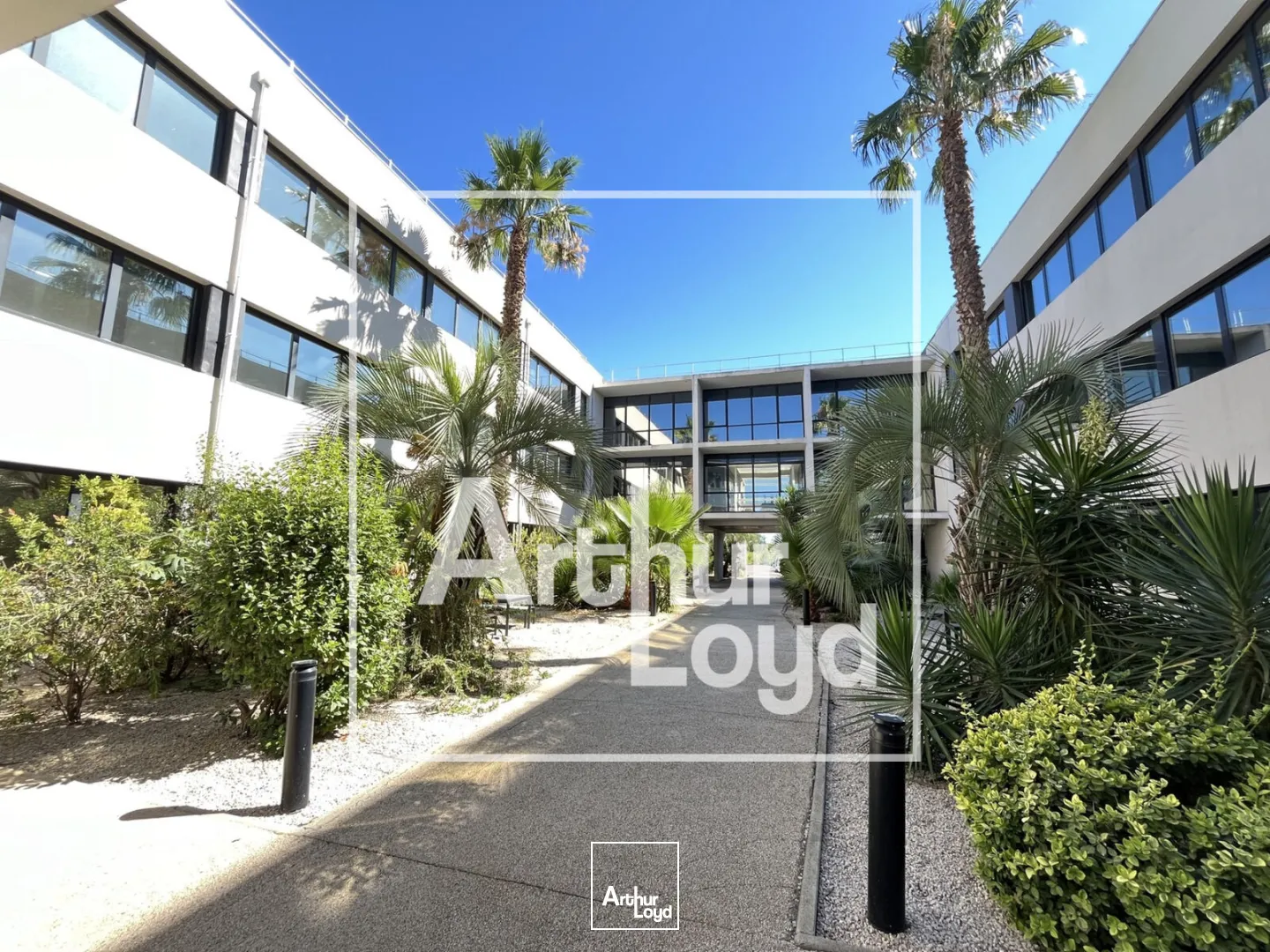 Bureaux - Location - PEROLS - 34470 - 257.79-2210.72 - 7758217