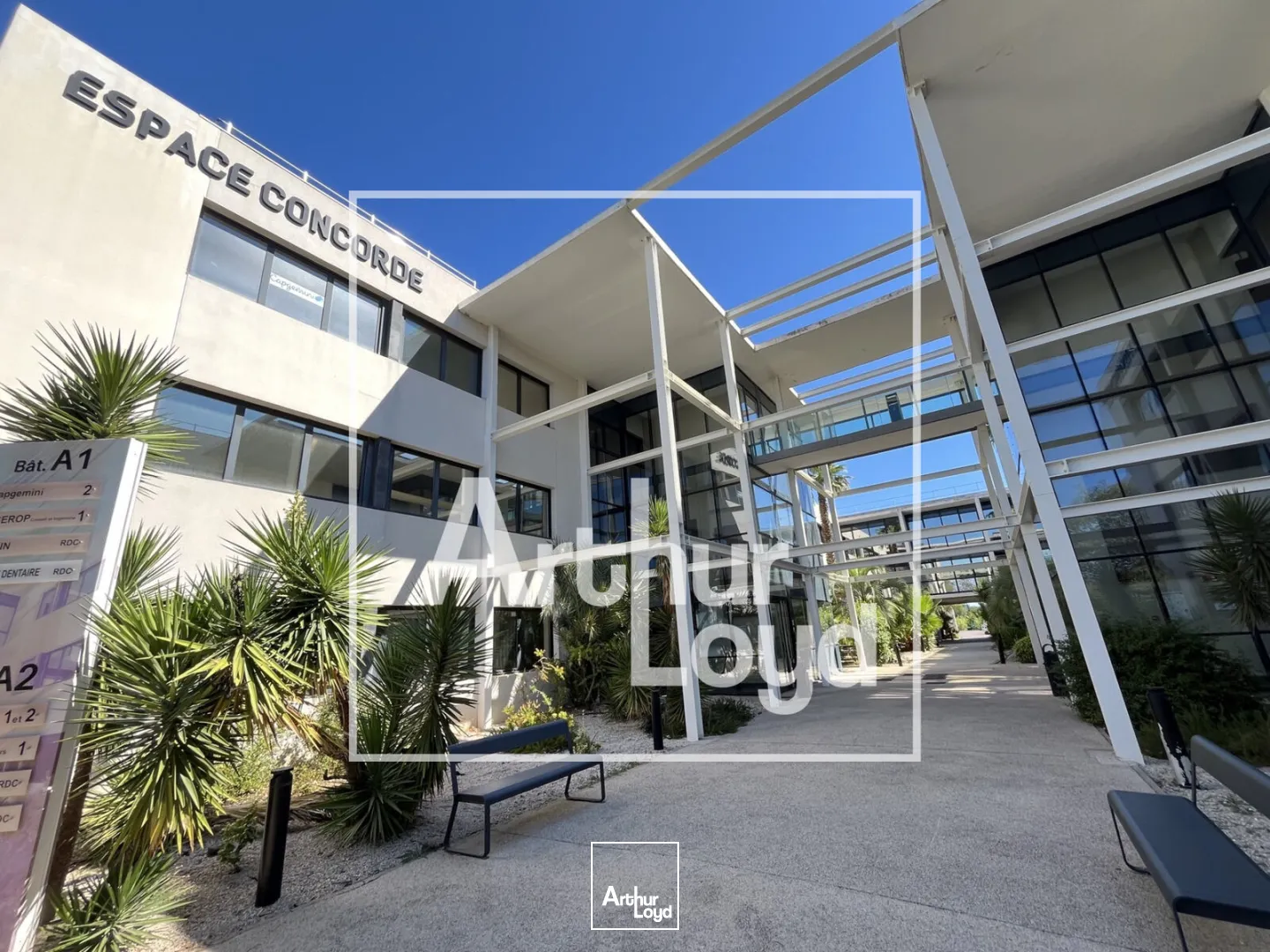 Bureaux - Location - PEROLS - 34470 - 257.79-2210.72 - 7758216
