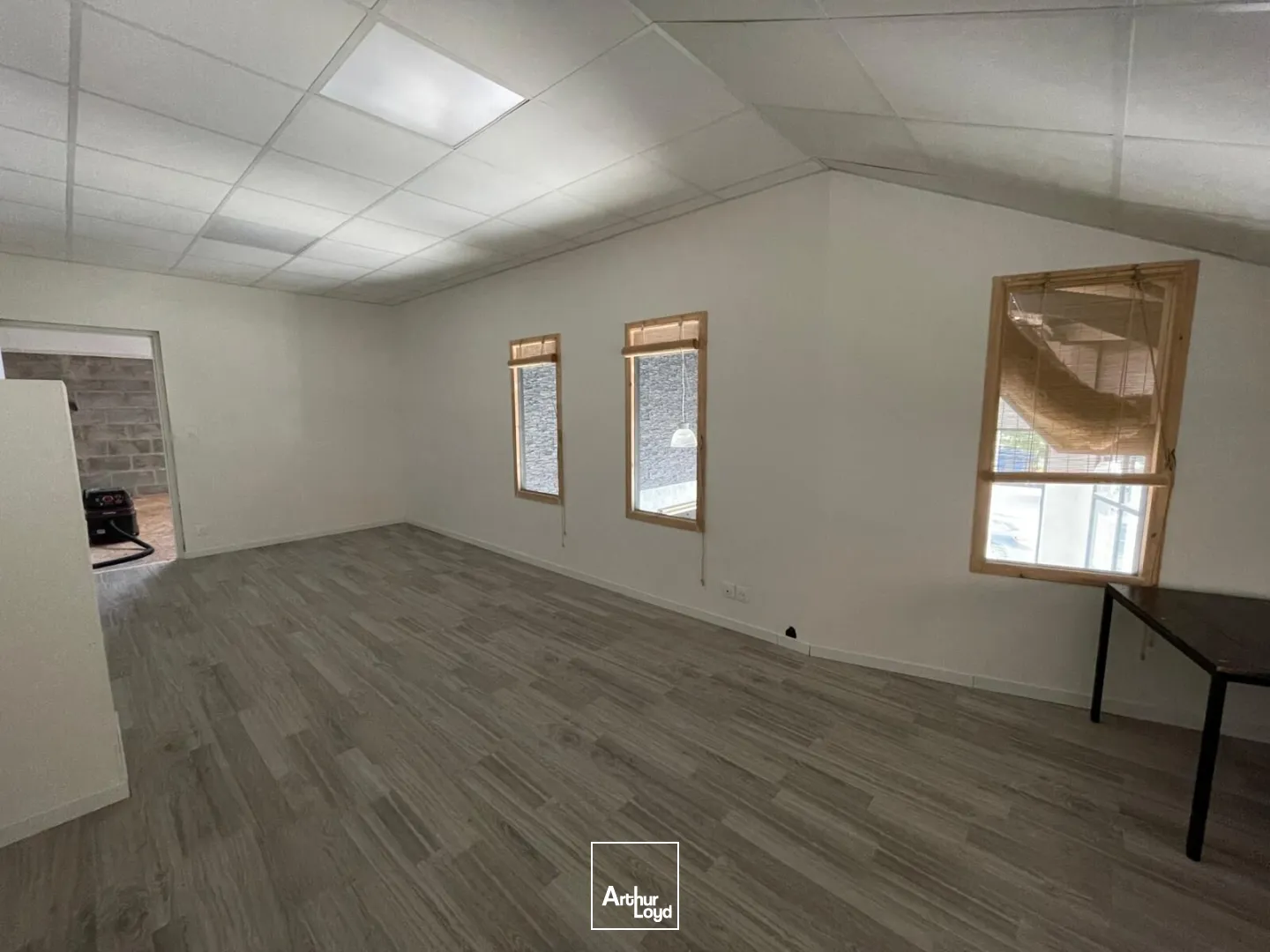 Locaux d'activité & Entrepôts - Location - SAINT AVE - 56890 - 225-225 - 7758315