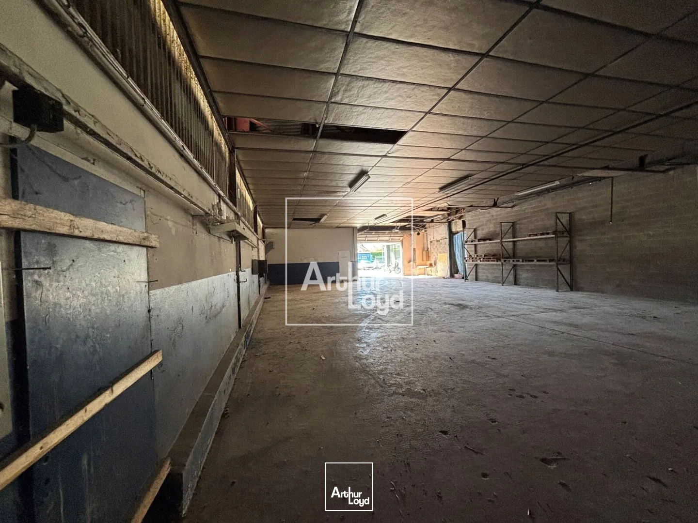 Locaux d'activité & Entrepôts - Location - SAINT EGREVE - 38120 - 343-343 - 7758406