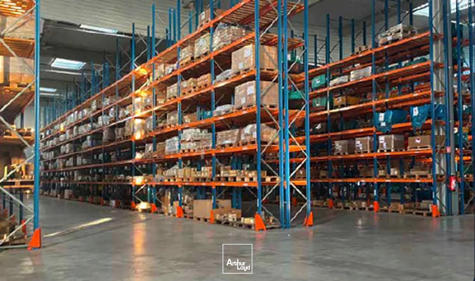 Locaux d'activité & Entrepôts - Location - SARTROUVILLE - 78500 - 3087.7-3087.7 - 7758571