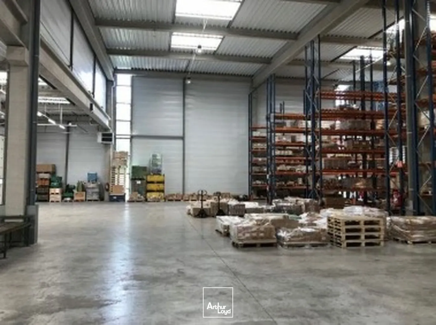 Locaux d'activité & Entrepôts - Location - SARTROUVILLE - 78500 - 3087.7-3087.7 - 7758572