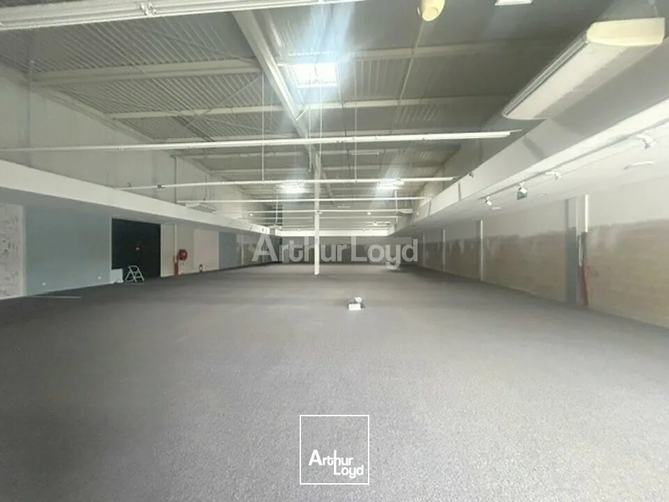 Locaux commerciaux - Location - EPINAL - 88000 - 683-683 - 7758918