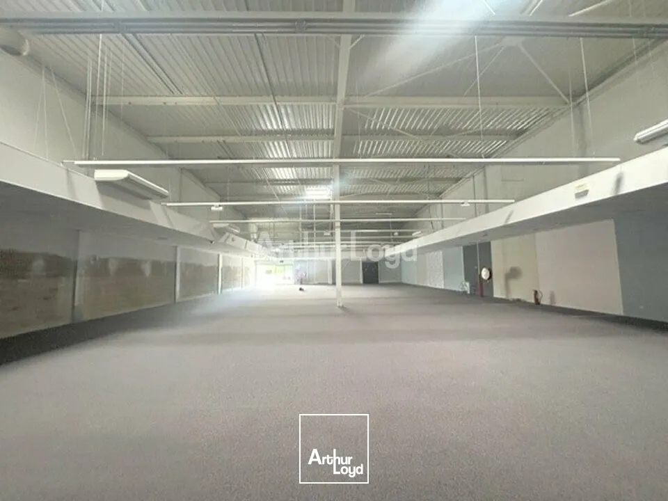 Locaux commerciaux - Location - EPINAL - 88000 - 683-683 - 7758919