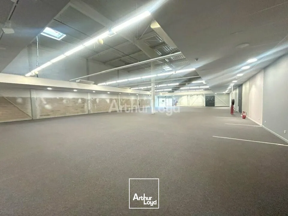 Locaux commerciaux - Location - EPINAL - 88000 - 683-683 - 7758921