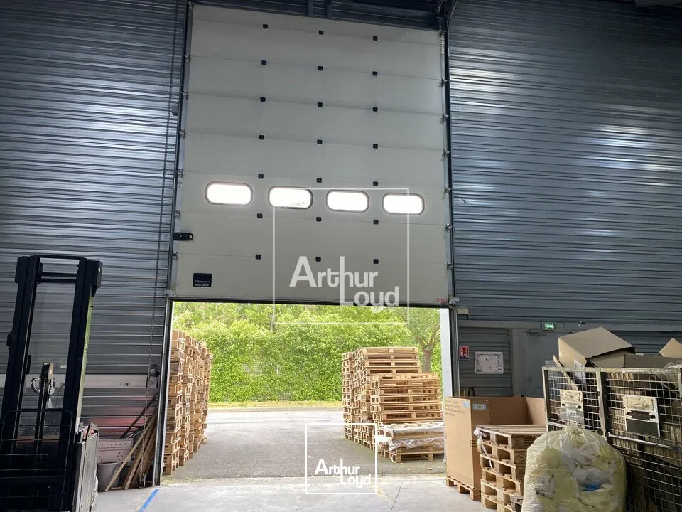 Locaux d'activité & Entrepôts - Location - COMBS LA VILLE - 77380 - 124-3299 - 7758990