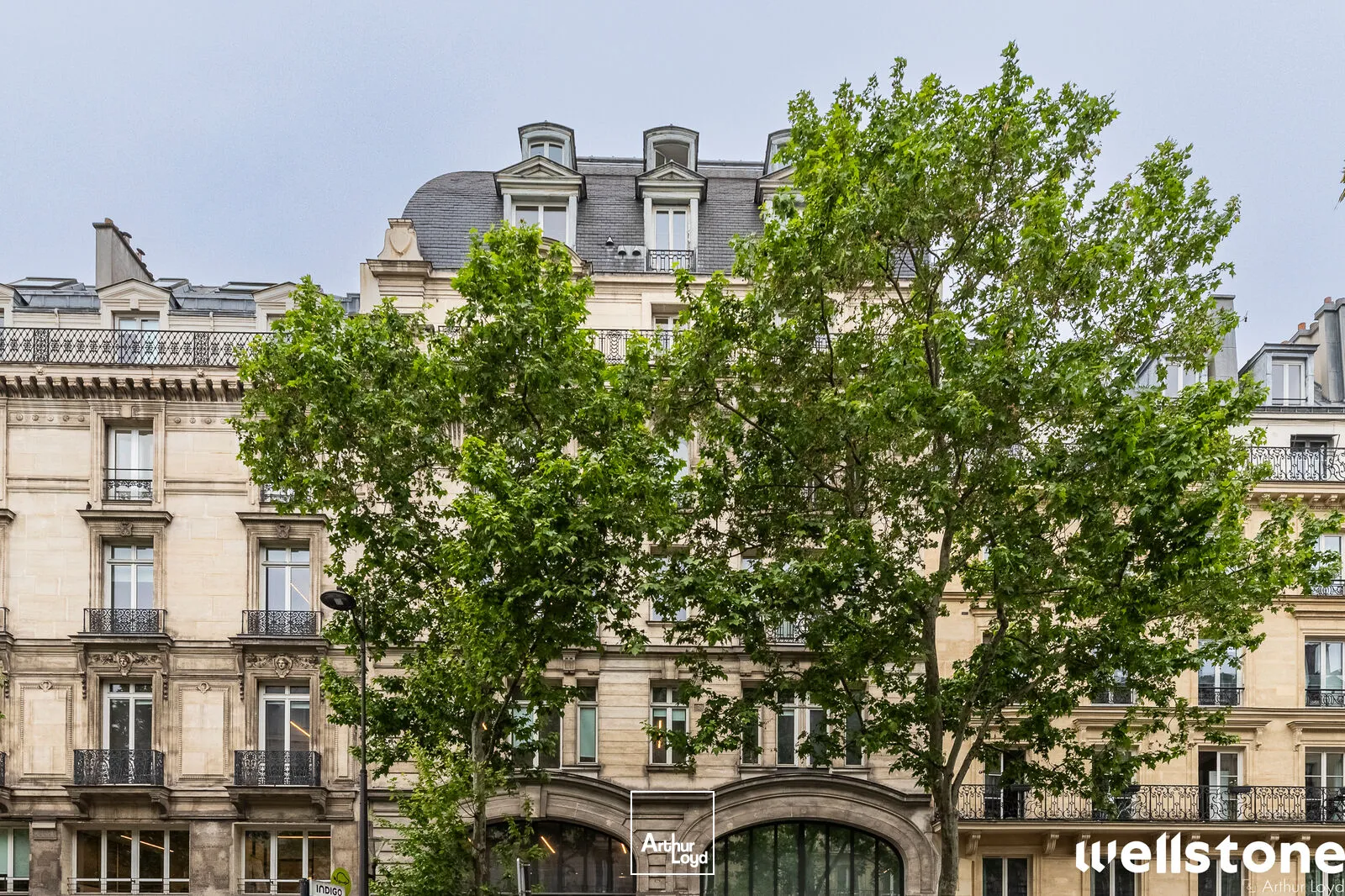 Bureaux - Location - PARIS - 75001 - 120-120 - 7759312
