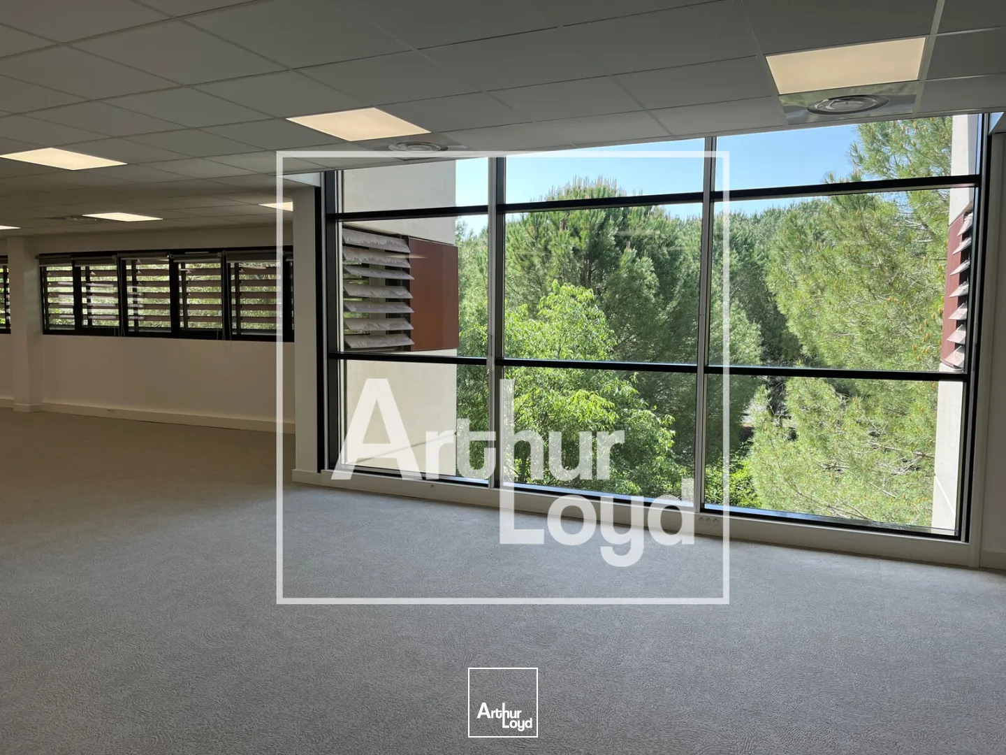 Bureaux - Location - MONTPELLIER - 34000 - 582-582 - 7759318