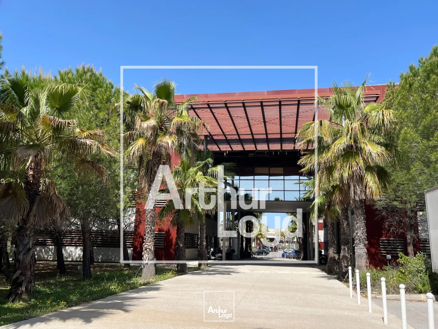 Bureaux - Location - MONTPELLIER - 34000 - 582-582 - 7759314