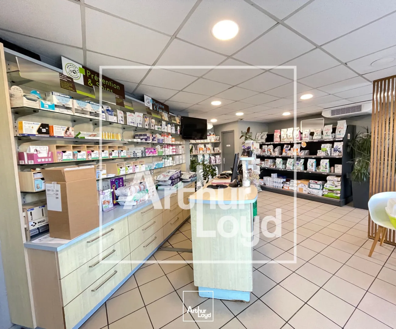 Bureaux - Location - MONTPELLIER - 34080 - 125-125 - 7759326