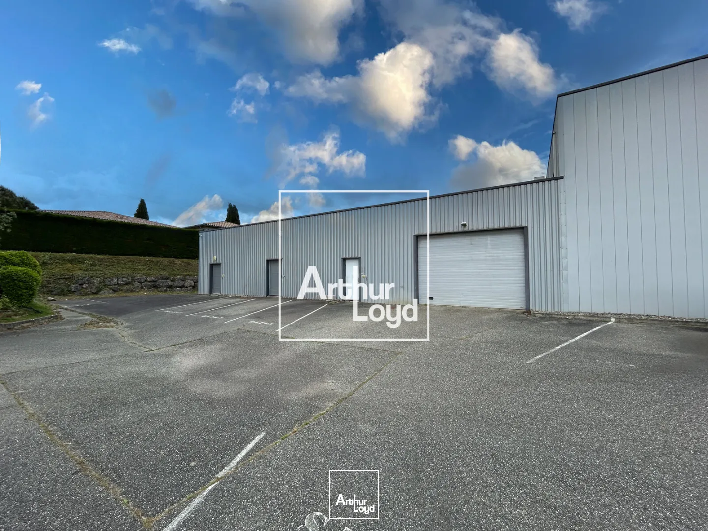 Locaux d'activité & Entrepôts - Location - MONDOUZIL - 31850 - 862-862 - 7759539