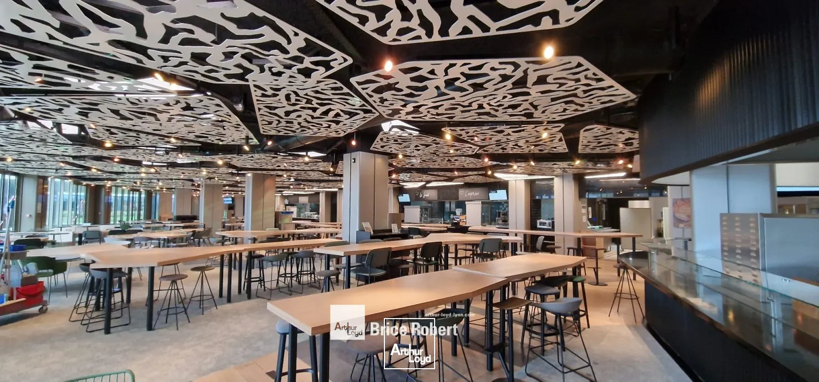 Bureaux - Location - LYON - 69007 - 519-1045 - 7759659