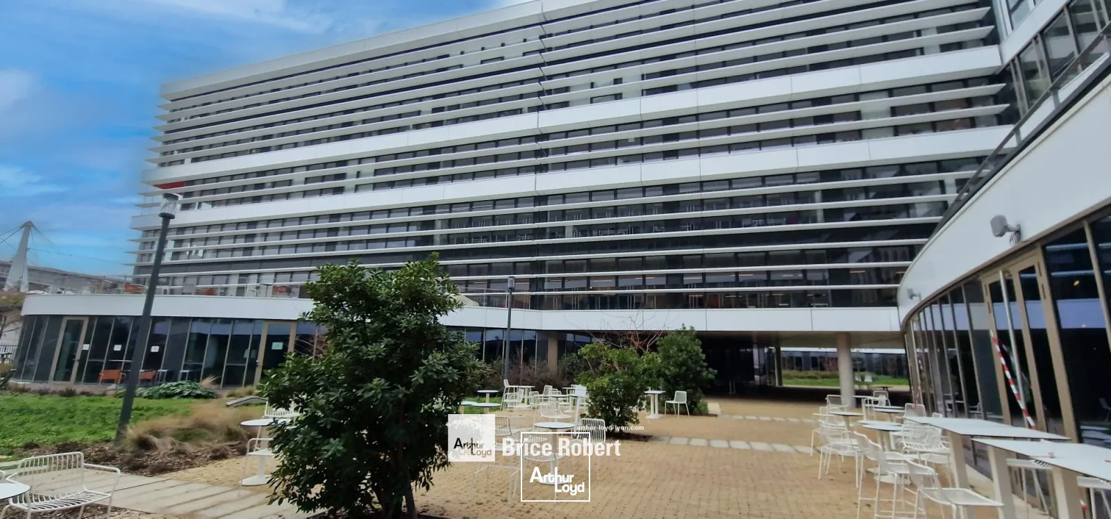 Bureaux - Location - LYON - 69007 - 519-1045 - 7759657
