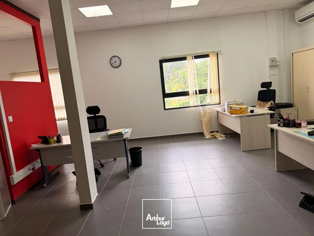 Bureaux - Location - Cayenne - 97300 - 178-178 - 7760749