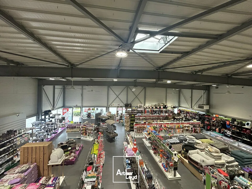 Locaux d'activité & Entrepôts - Vente - THIONVILLE - 57100 - 705-705 - 7761709
