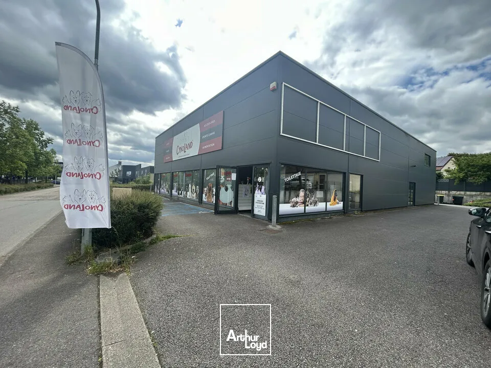 Locaux d'activité & Entrepôts - Vente - THIONVILLE - 57100 - 705-705 - 7761703