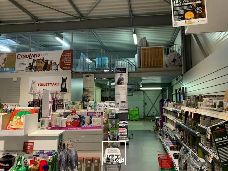 Locaux d'activité & Entrepôts - Vente - THIONVILLE - 57100 - 705-705 - 7761706
