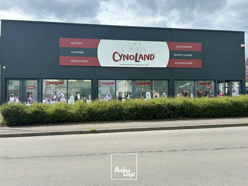 Locaux d'activité & Entrepôts - Vente - THIONVILLE - 57100 - 705-705 - 7761701