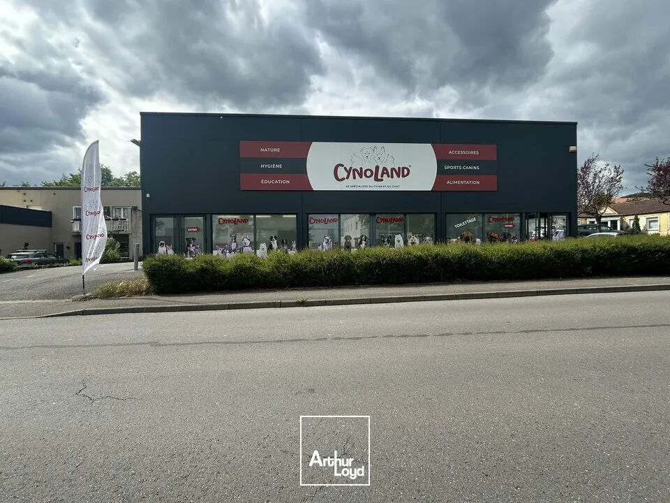 Locaux d'activité & Entrepôts - Vente - THIONVILLE - 57100 - 705-705 - 7761702
