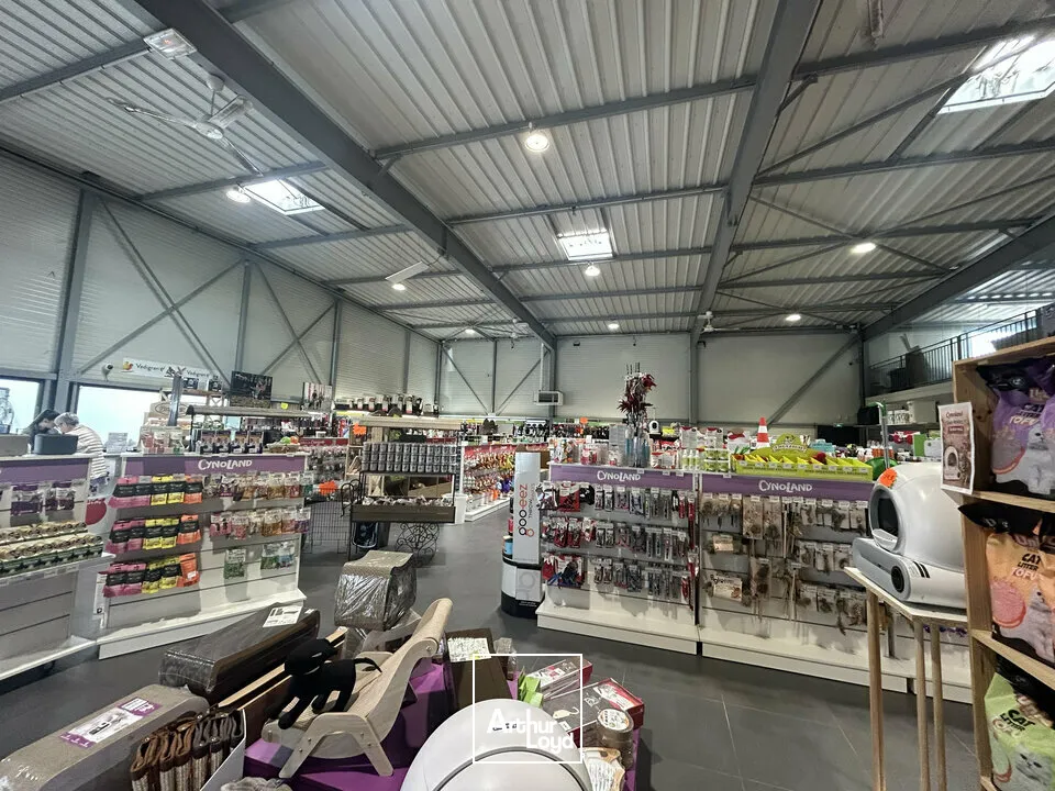 Locaux d'activité & Entrepôts - Vente - THIONVILLE - 57100 - 705-705 - 7761710
