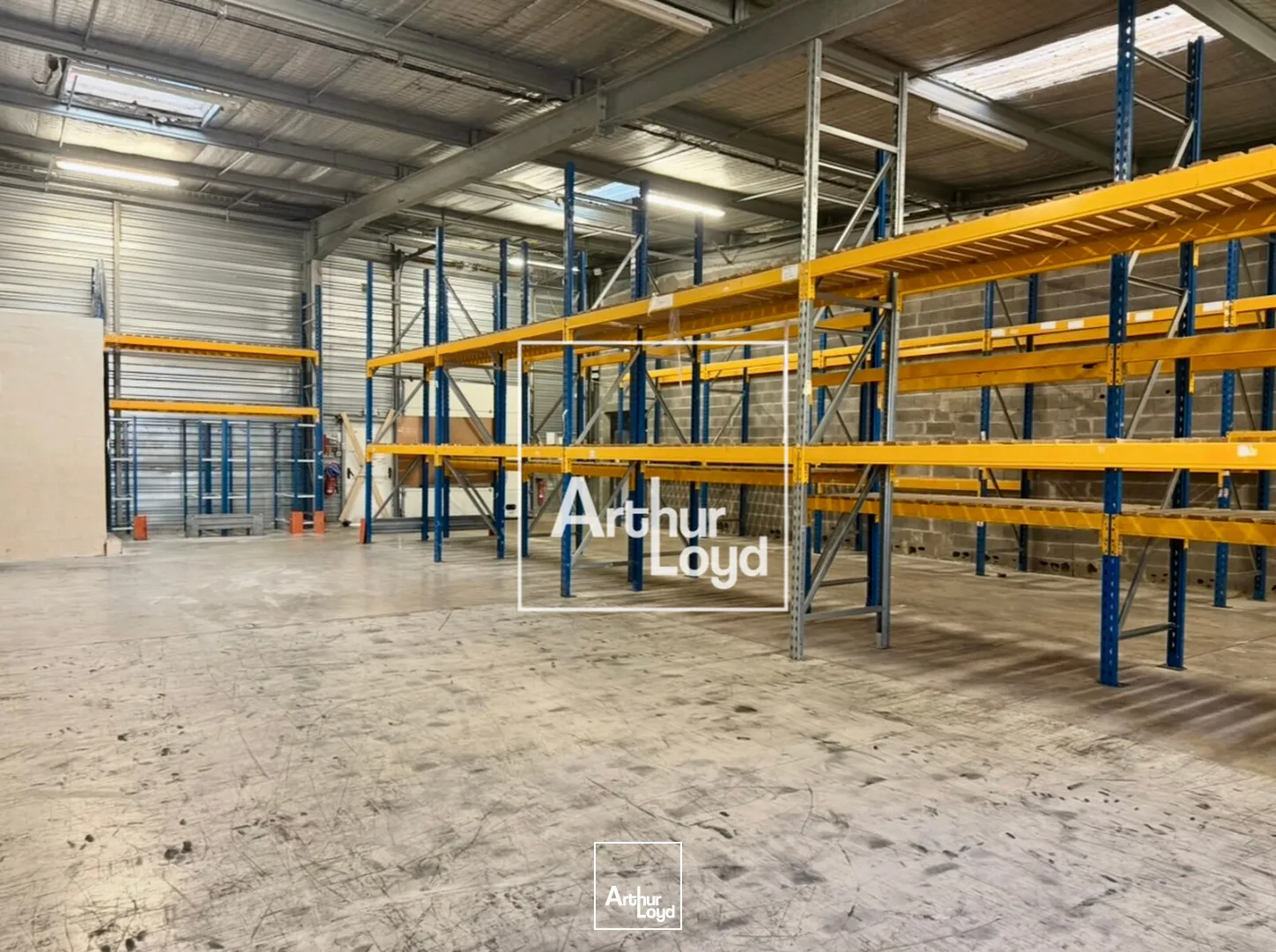 Locaux d'activité & Entrepôts - Vente - FRONTIGNAN - 34110 - 2412-2412 - 7761874