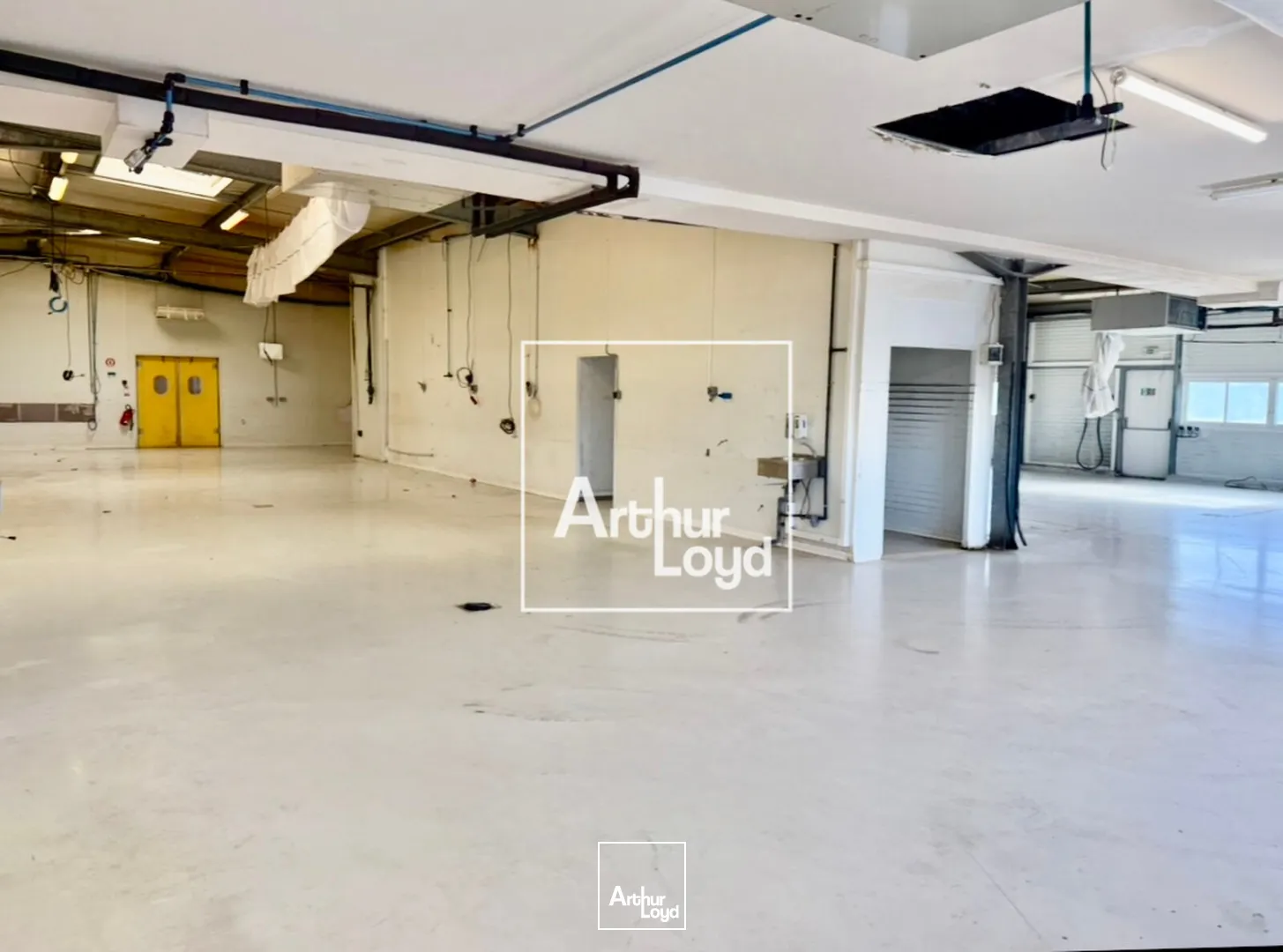 Locaux d'activité & Entrepôts - Vente - FRONTIGNAN - 34110 - 2412-2412 - 7761875