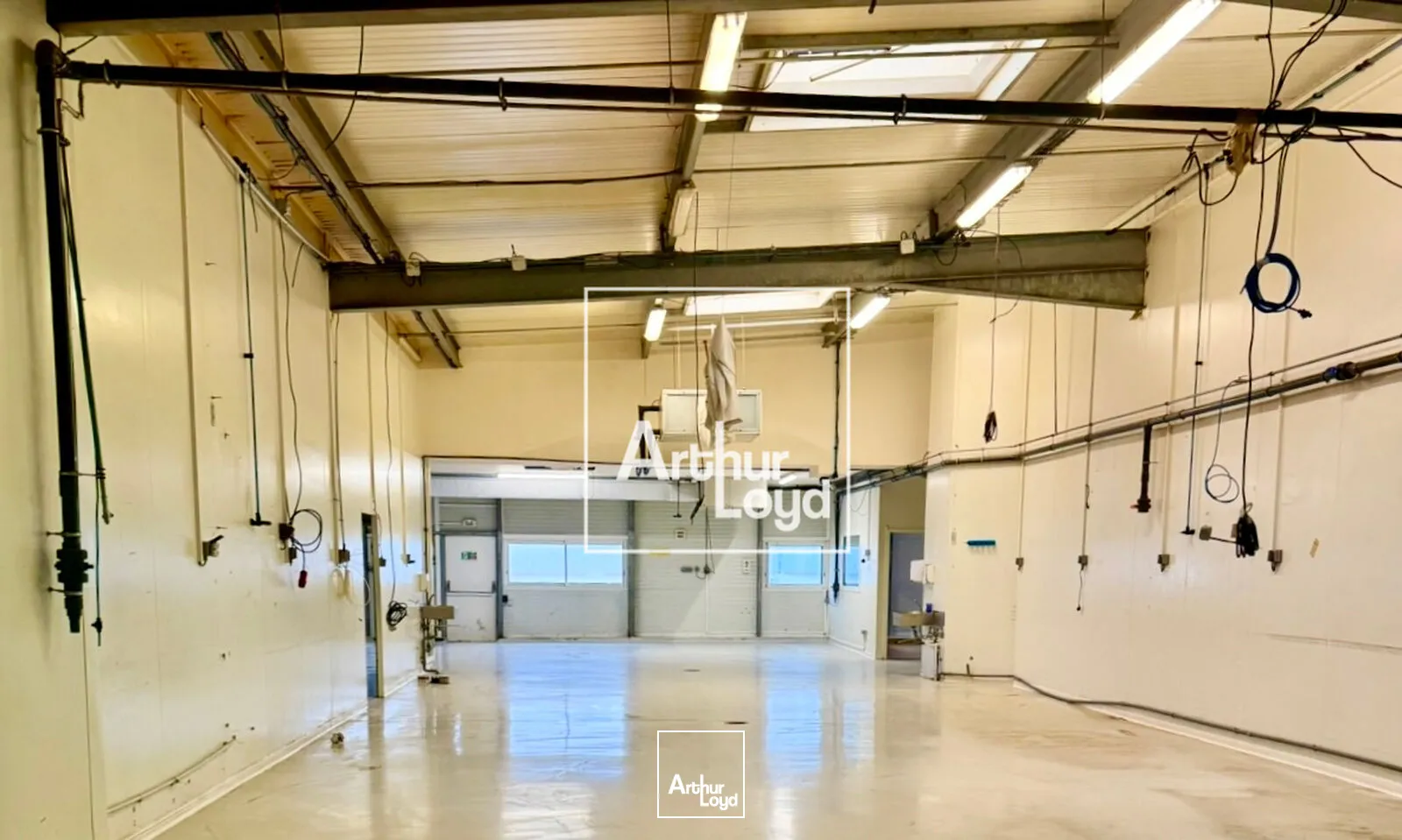 Locaux d'activité & Entrepôts - Vente - FRONTIGNAN - 34110 - 2412-2412 - 7761879
