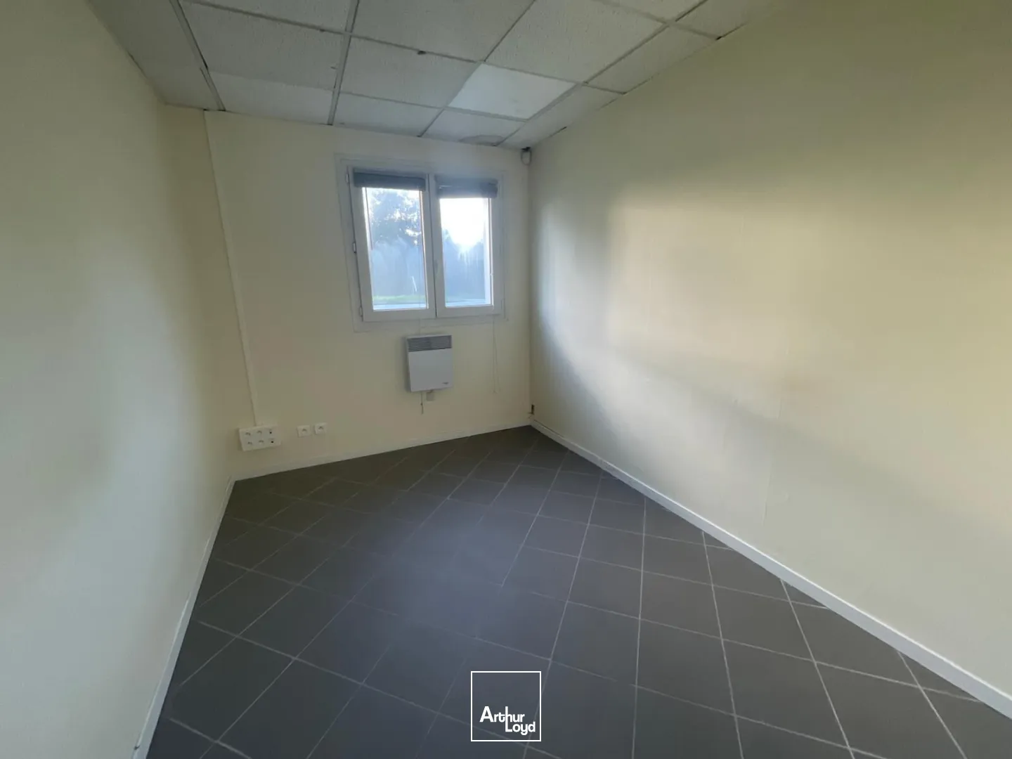 Locaux d'activité & Entrepôts - Location - PLOEREN - 56880 - 700-700 - 7761947