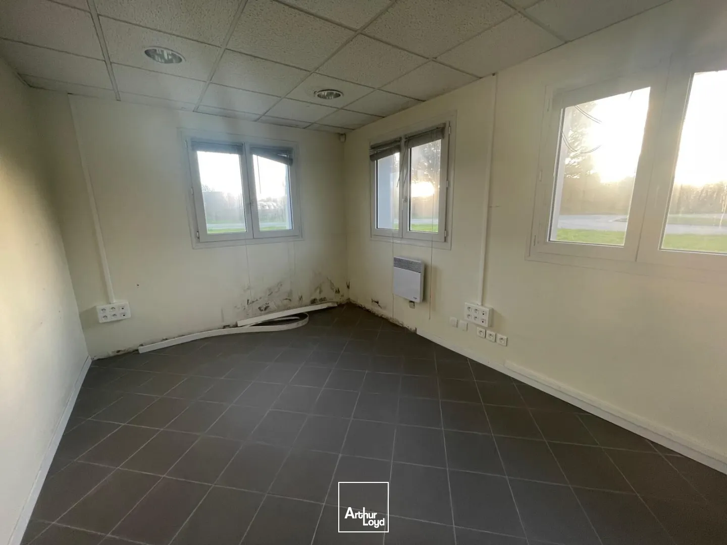 Locaux d'activité & Entrepôts - Location - PLOEREN - 56880 - 700-700 - 7761948