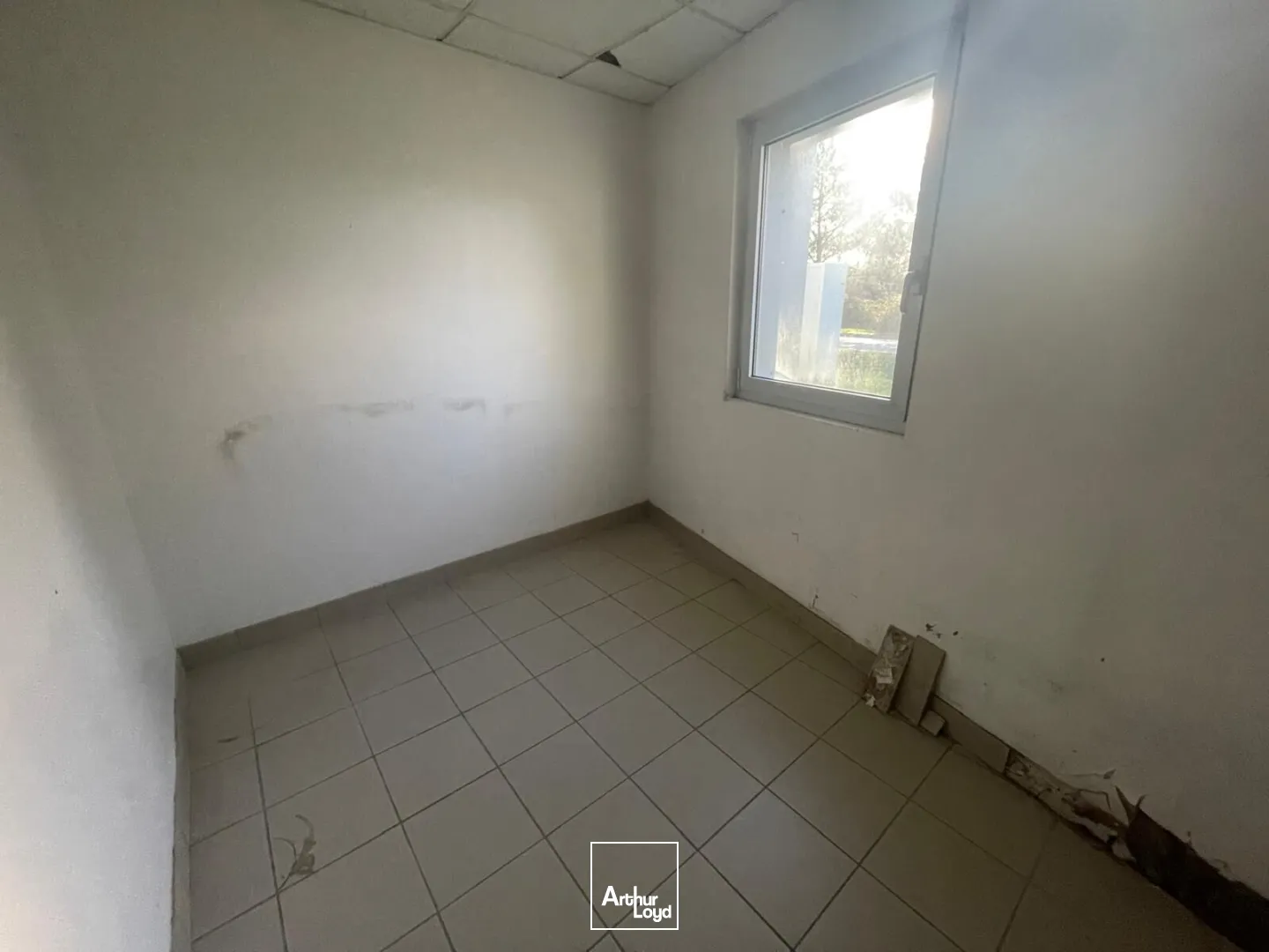 Locaux d'activité & Entrepôts - Location - PLOEREN - 56880 - 700-700 - 7761954