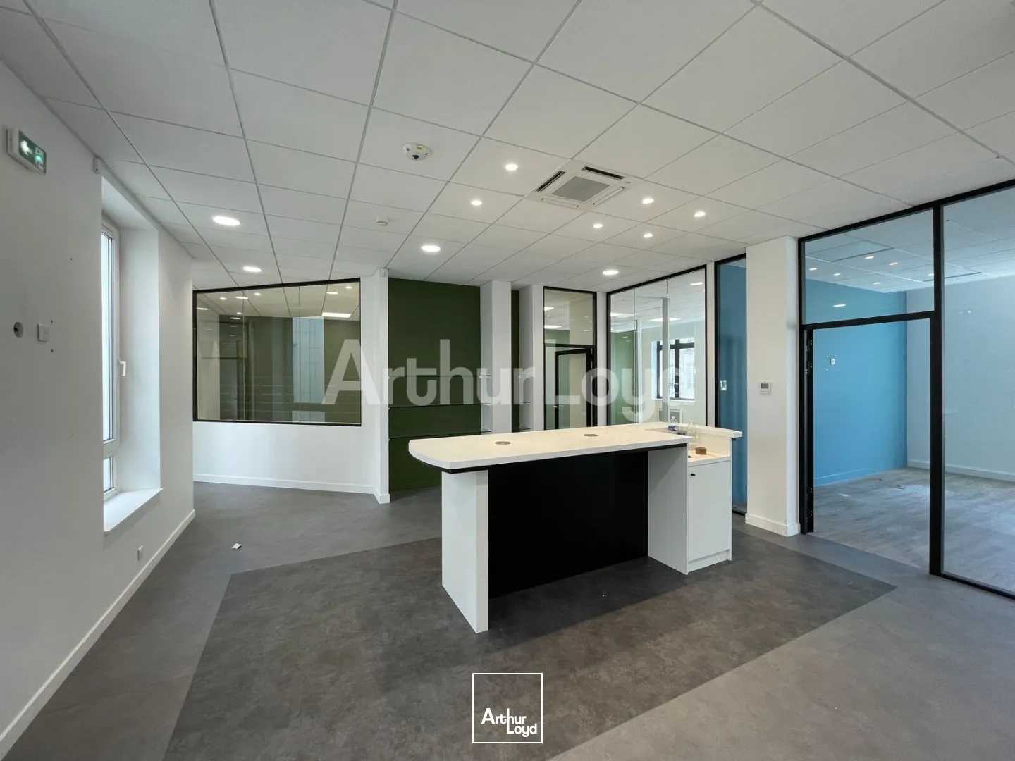 Bureaux - Location - LILLE - 59800 - 250.3-250.3 - 7762273