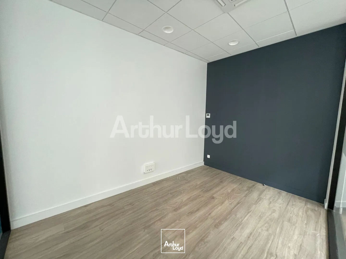 Bureaux - Location - LILLE - 59800 - 250.3-250.3 - 7762279