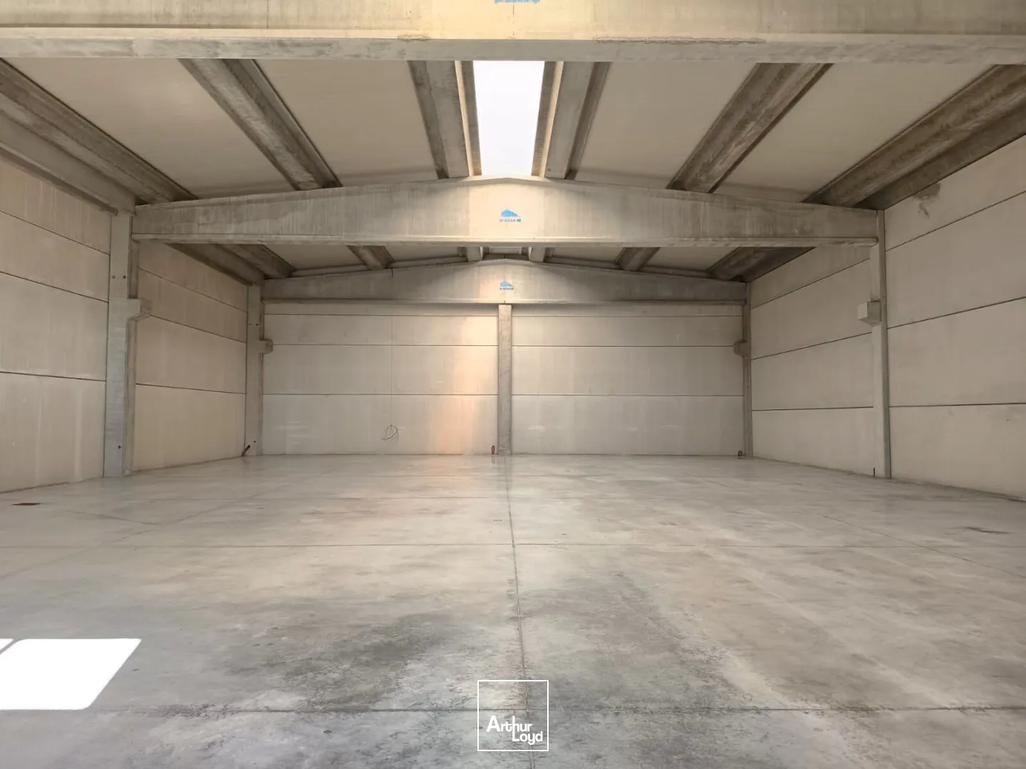 Locaux d'activité & Entrepôts - Location - SIGNES - 83870 - 1166-1166 - 7762344