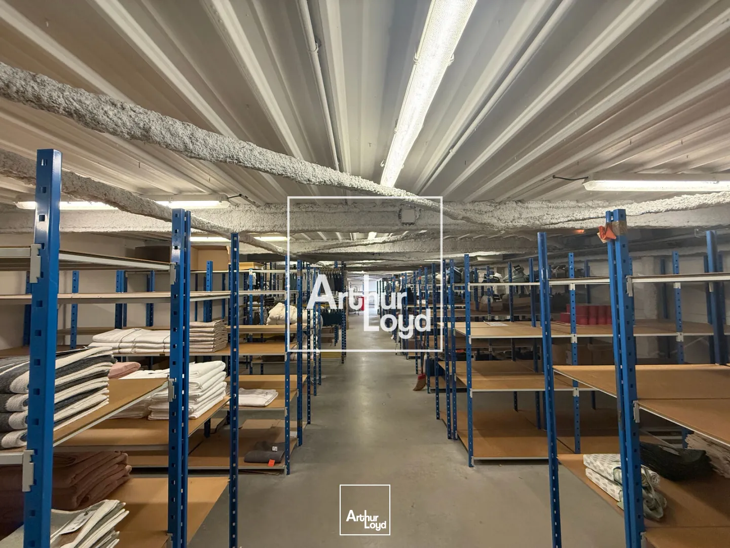 Locaux commerciaux - Location - PORTET SUR GARONNE - 31120 - 1533.66-1533.66 - 7762363