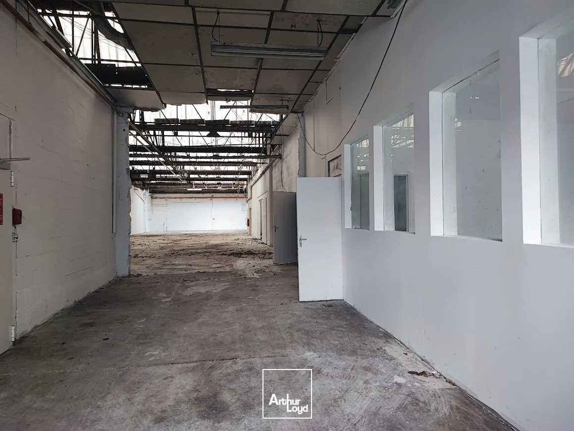 Locaux d'activité & Entrepôts - Location - LIMOGES - 87100 - 565-565 - 7762553