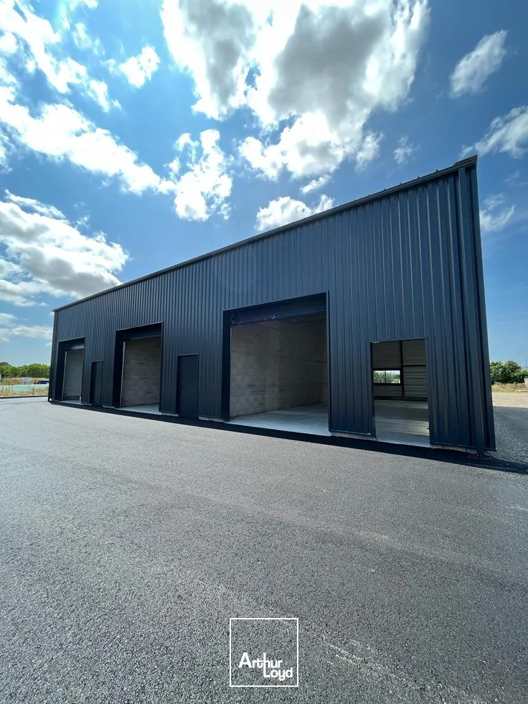 Locaux d'activité & Entrepôts - Location - SAINT SAUVEUR D AUNIS - 17540 - 100-100 - 7762567