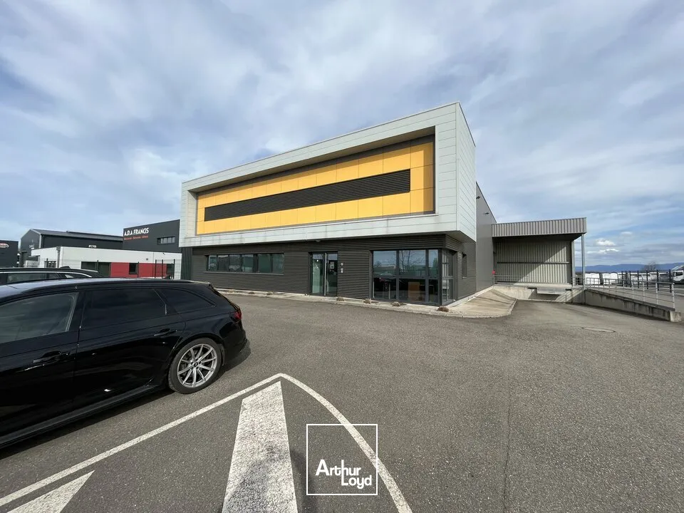 Locaux d'activité & Entrepôts - Location - WEYERSHEIM - 67720 - 574-574 - 7762664