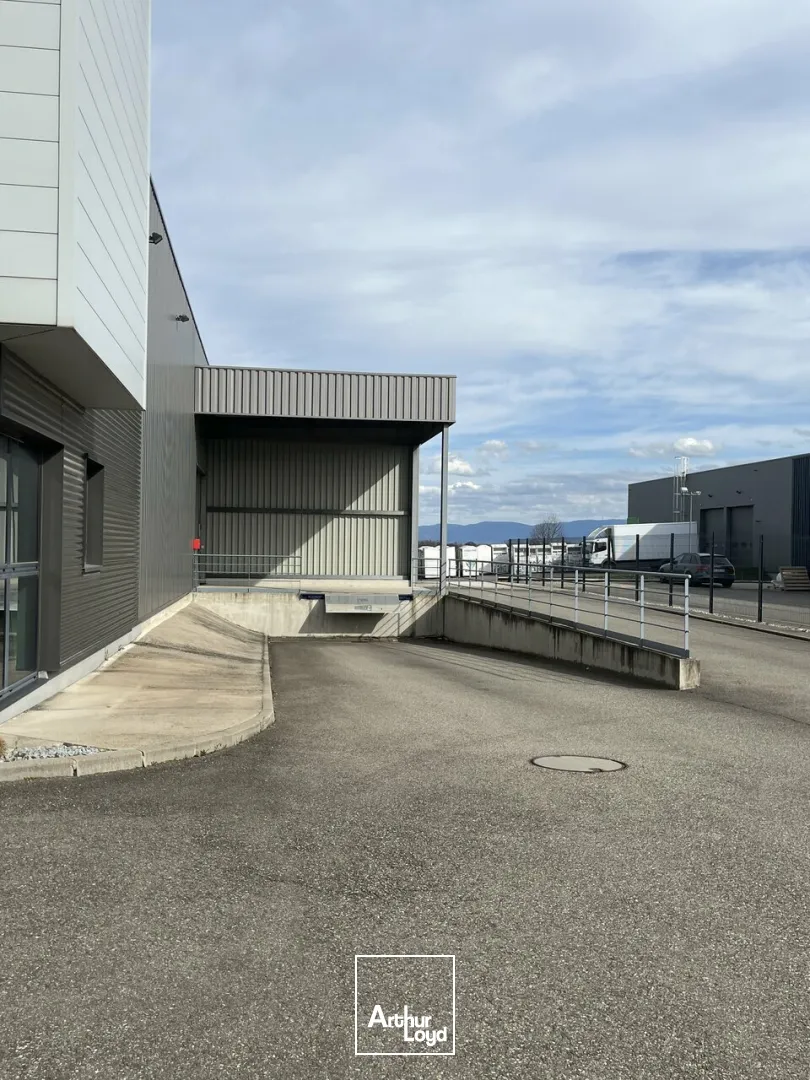 Locaux d'activité & Entrepôts - Location - WEYERSHEIM - 67720 - 574-574 - 7762666
