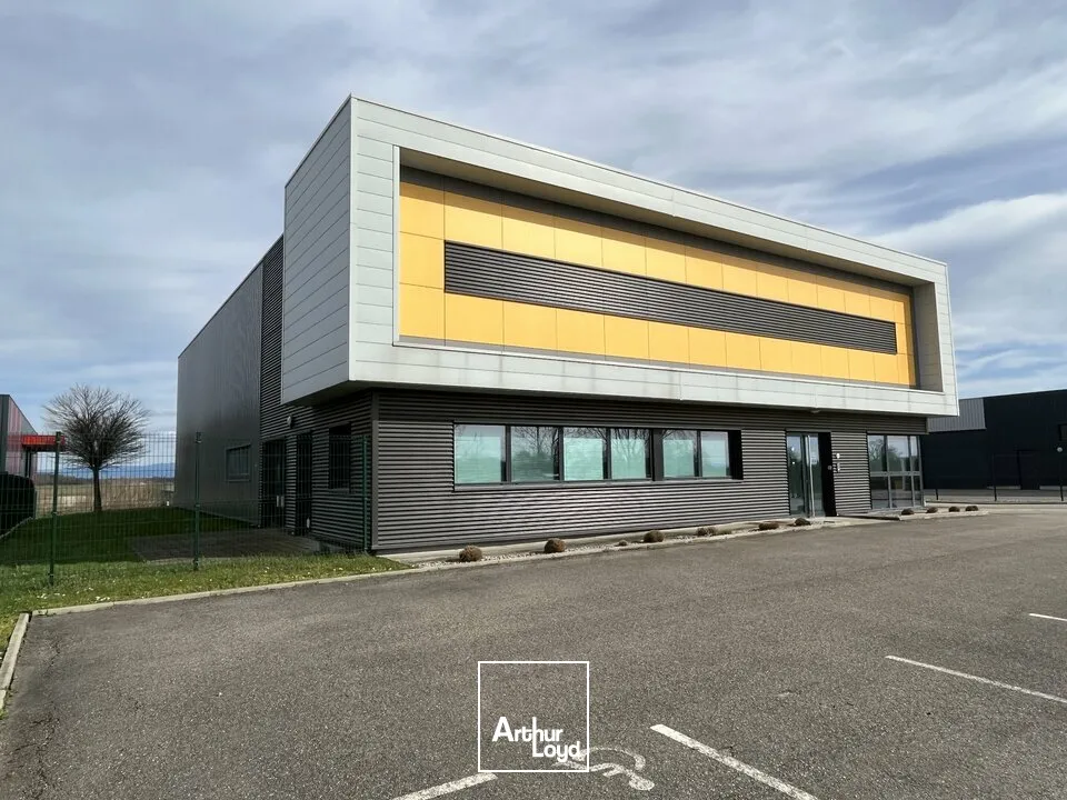 Locaux d'activité & Entrepôts - Location - WEYERSHEIM - 67720 - 574-574 - 7762663