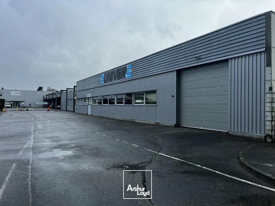 Locaux d'activité & Entrepôts - Location - COLMAR - 68000 - 550-550 - 7762668